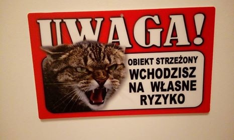 Obrazek