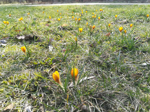 Wiosna na Jurze Krakowsko-Częstochowskiej