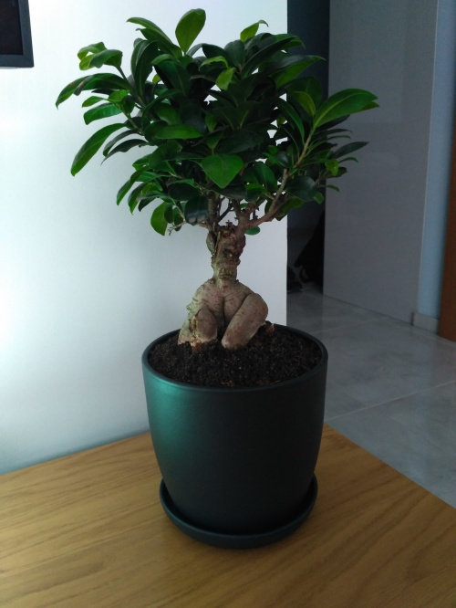 ee054f3d1762a6dcmed.jpg