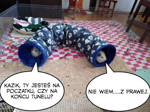 Obrazek