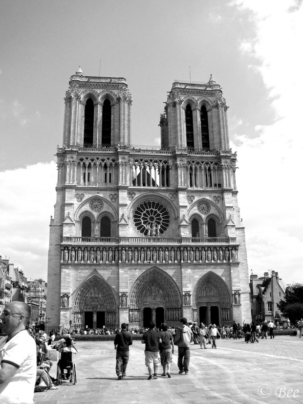 Katedra Notre-Dame w Paryżu.
