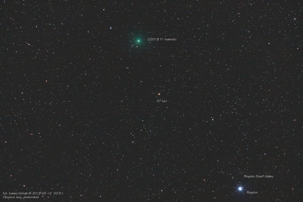 Kometa C/2018 Y1 Iwamoto #kometa #c2018 Y1 #iwamoto #chojnice #noc #gwiazdy #pomorskie #astrofoto
