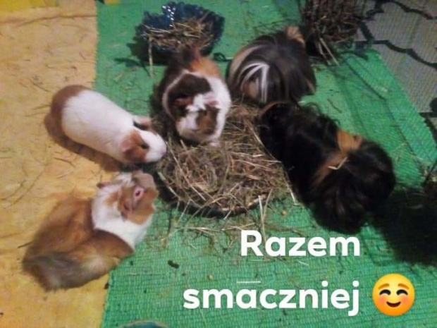 Dobrze mi z Rodzinką