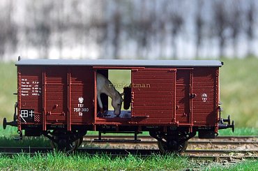 Model wagonu towarowego P.K.P. do przewozu koni. Skala 1:87 H0. Epoka II. Konwersja rocketman. #PKP #wagon #towarowy H0