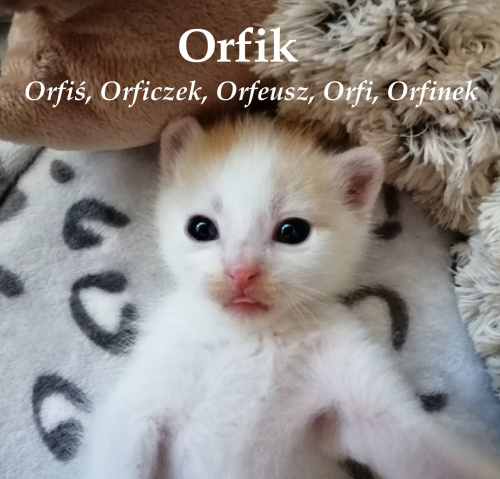Obrazek