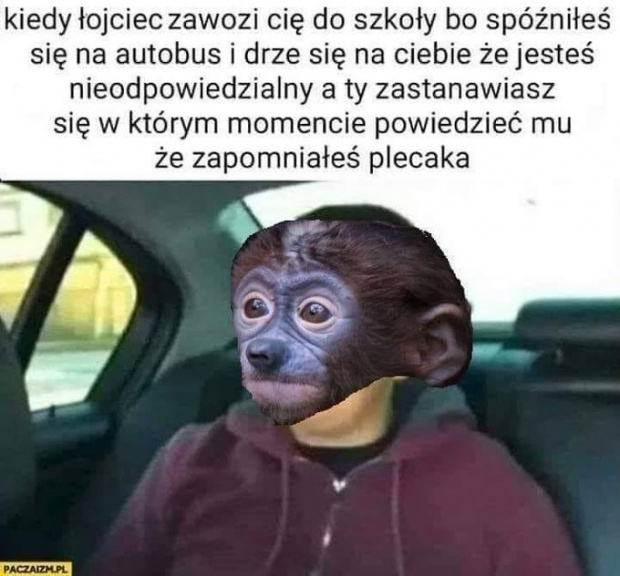 Obrazek