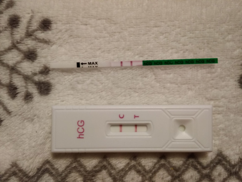 96e25f954abd6f1amed.jpg