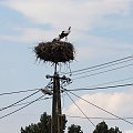 28.07.2021 Bukowiec ul. Dolna 95, gmina Brójce