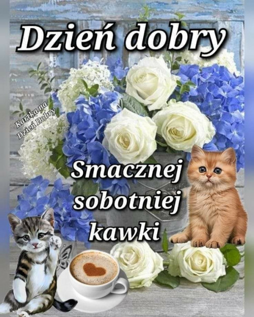 Obrazek