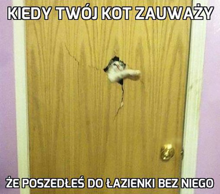 Obrazek